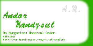 andor mandzsul business card